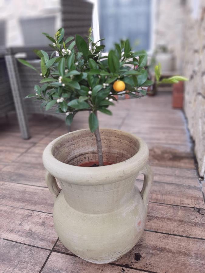 Apartment Sorgenfrei Caputh Luaran gambar